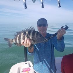 Florida Estero Bay Fishing for Sheepshead